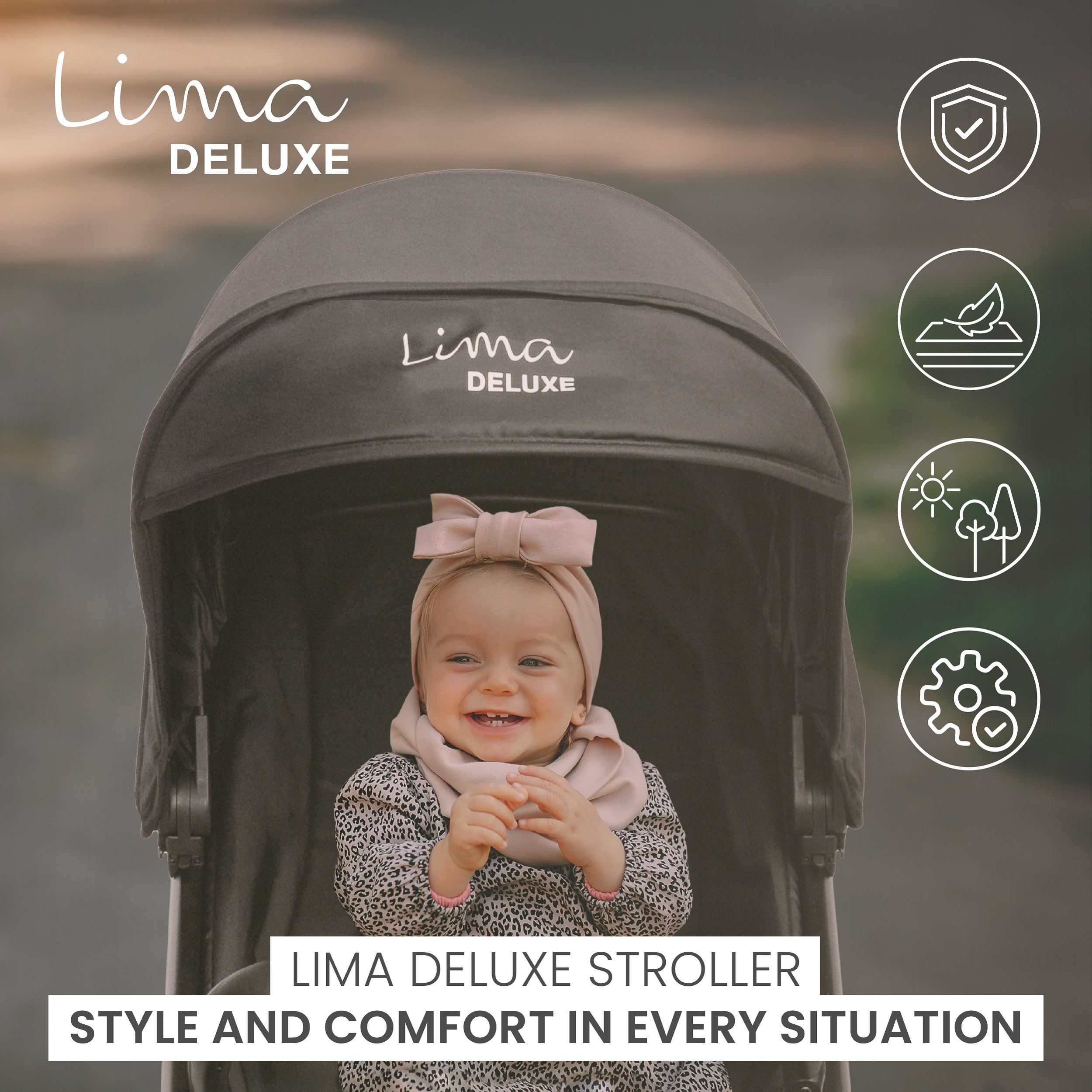 infografiki_lima_deluxe_en (1)